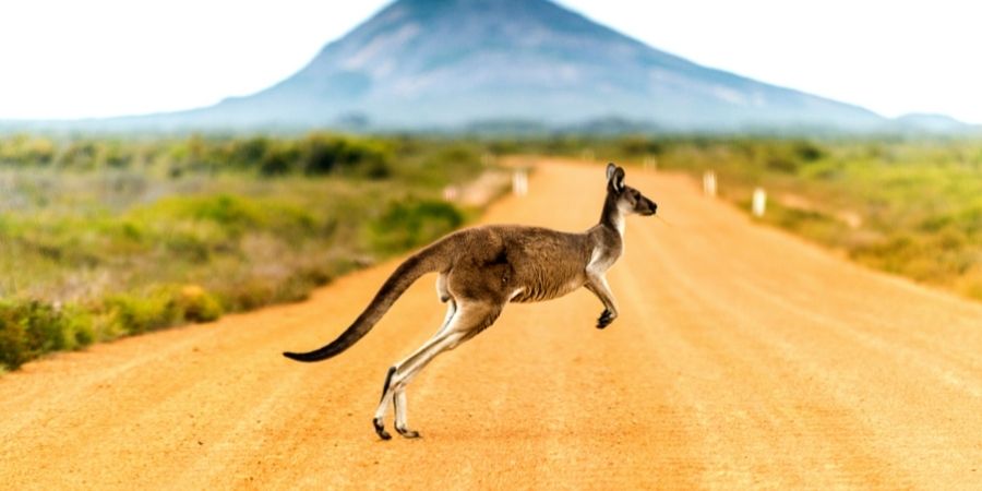 Visitar Australia como Turista
